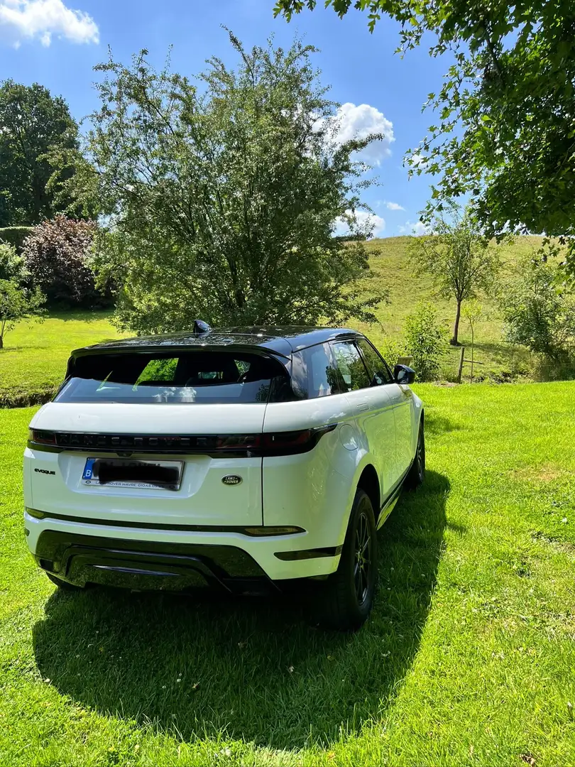 Land Rover Range Rover Evoque D160 R-Dynamic awd Auto .21MY Blanc - 2