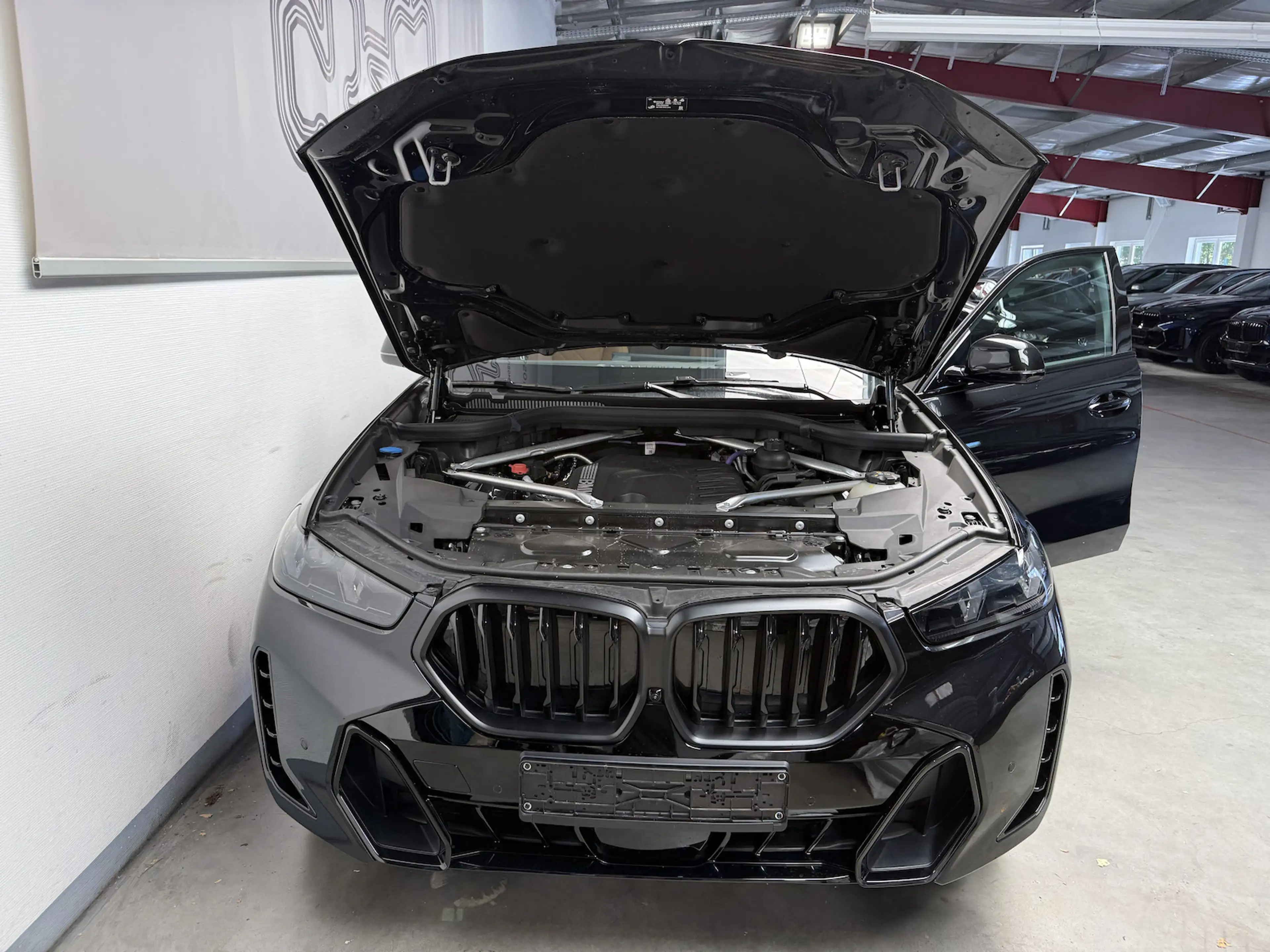 BMW X6 30 d xDr. M Sport PRO/Softcl./LUFT/PANO/HUD — photo 13