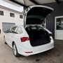 Skoda Octavia Combi 2,0 TDI Style DSG Weiß - thumbnail 9