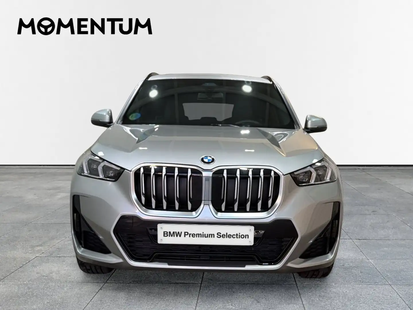 BMW X1 sDrive 20dA Gris - 2