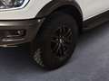 Ford Ranger Raptor Doppelkabine 4x4 STHZG AHK Blanc - thumbnail 7