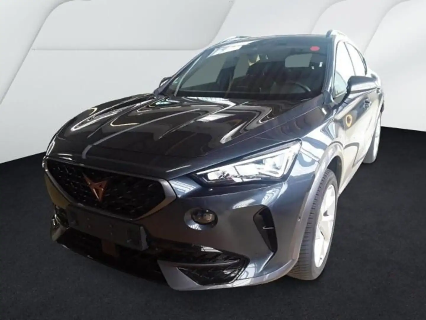CUPRA Formentor 2.0 TDI 4Drive ACC*RFK*SHZ*Klima*Navi* Grijs - 2