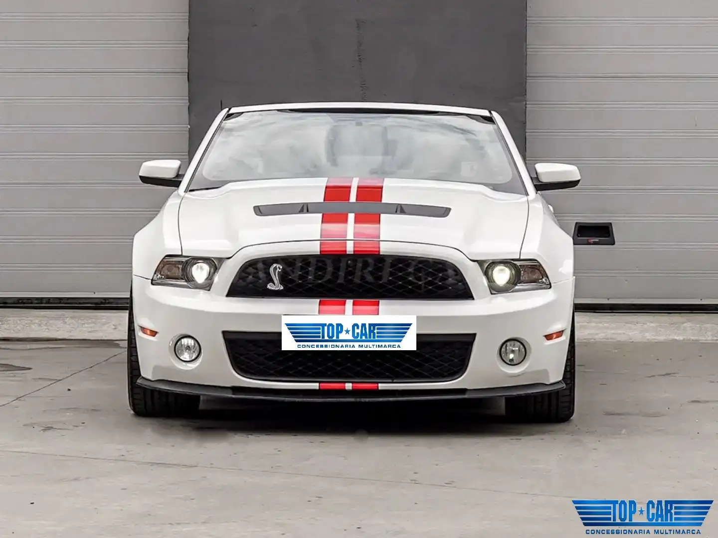 Ford Mustang SHELBY GT 500 5.4L V8 SVT PERFORMANCE 551CV Wit - 2
