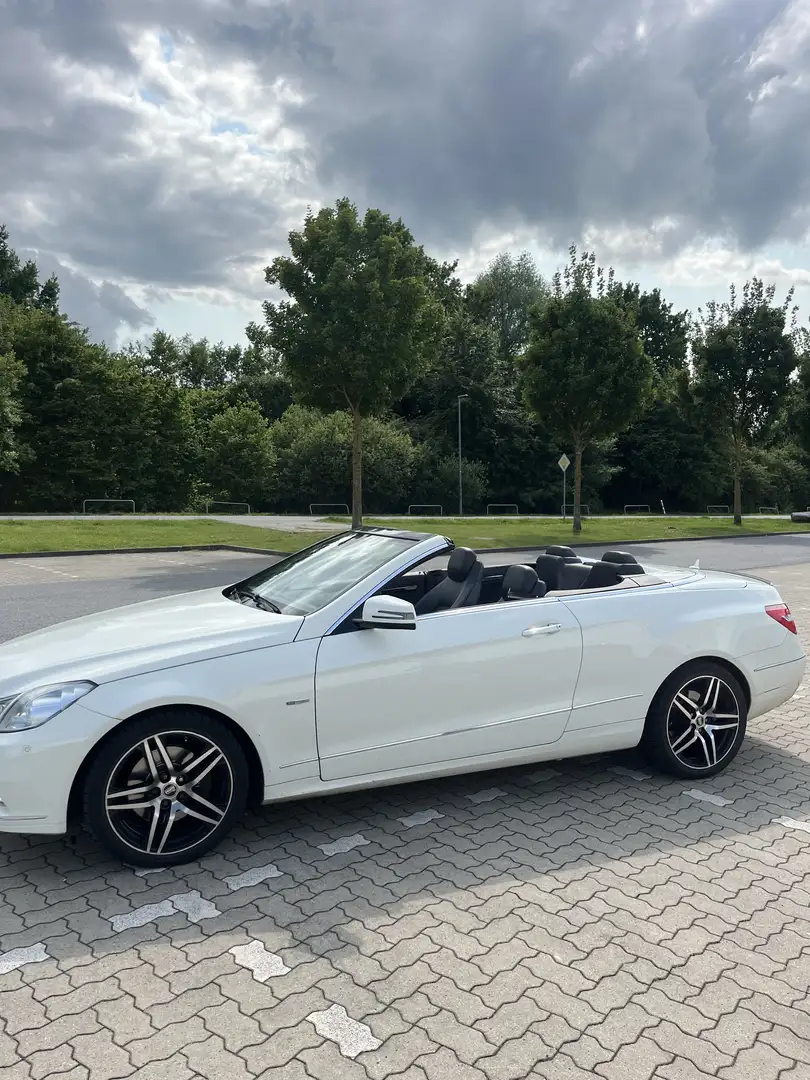 Mercedes-Benz E 350 CDI DPF Cabrio BlueEFFICIENCY - 2