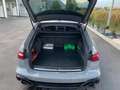 Audi RS6 Avant tiptronic - Iva esposta - PERFETTA Grigio - thumbnail 6