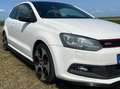 Volkswagen Polo Polo 1.4 TSI GTI Wit - thumbnail 6