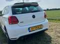 Volkswagen Polo Polo 1.4 TSI GTI Wit - thumbnail 5