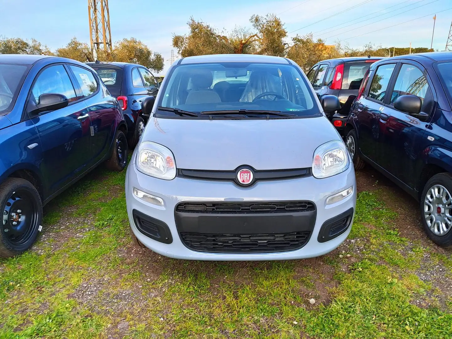 Fiat Panda 1.0 FireFly S&S Hybrid - USATA Grigio - 2