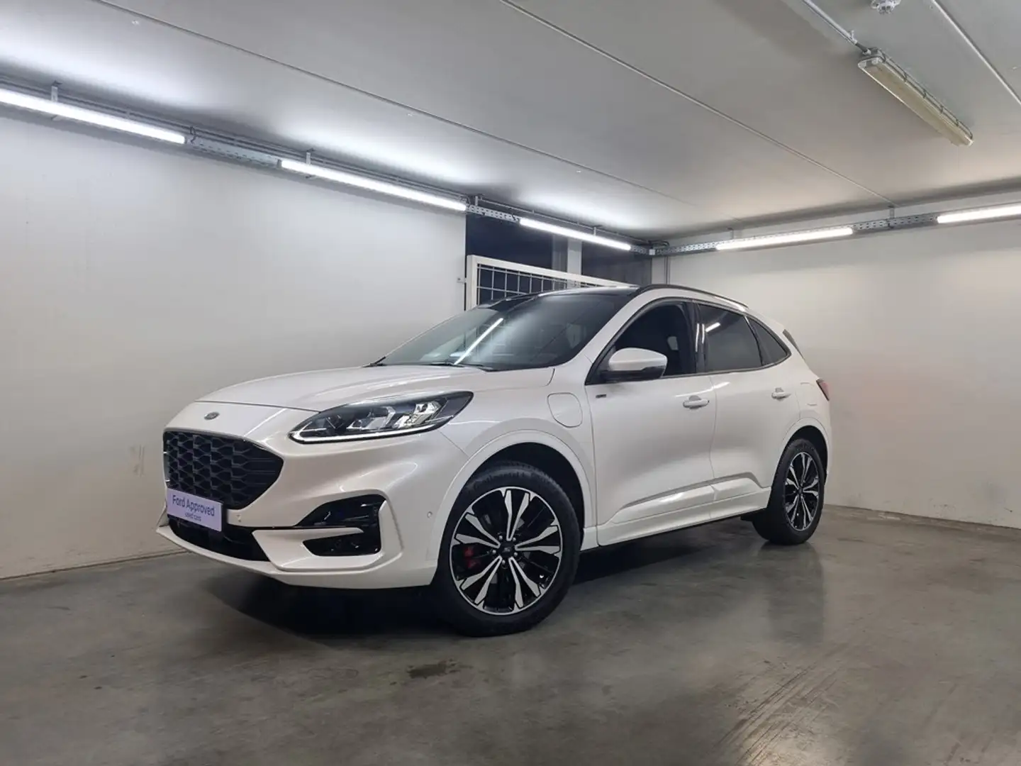 Ford Kuga ST-Line X PHEV - Pano dak - Garantie Bianco - 1