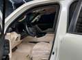 Toyota Land Cruiser 300 3.3 V6 7 POSTI CORAZZATO B6 / VR7 NUOVO Weiß - thumbnail 7