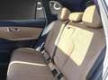 Geely Starray EM-i 1.5 phev Launch Edition 262CV auto *PROMO ROTTAMAZIONE O PERMUTA* - thumbnail 12
