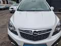 Opel Mokka 1,7 CDTI 4x4 ++ÖAMTC PICKERL NEU++ Weiß - thumbnail 4