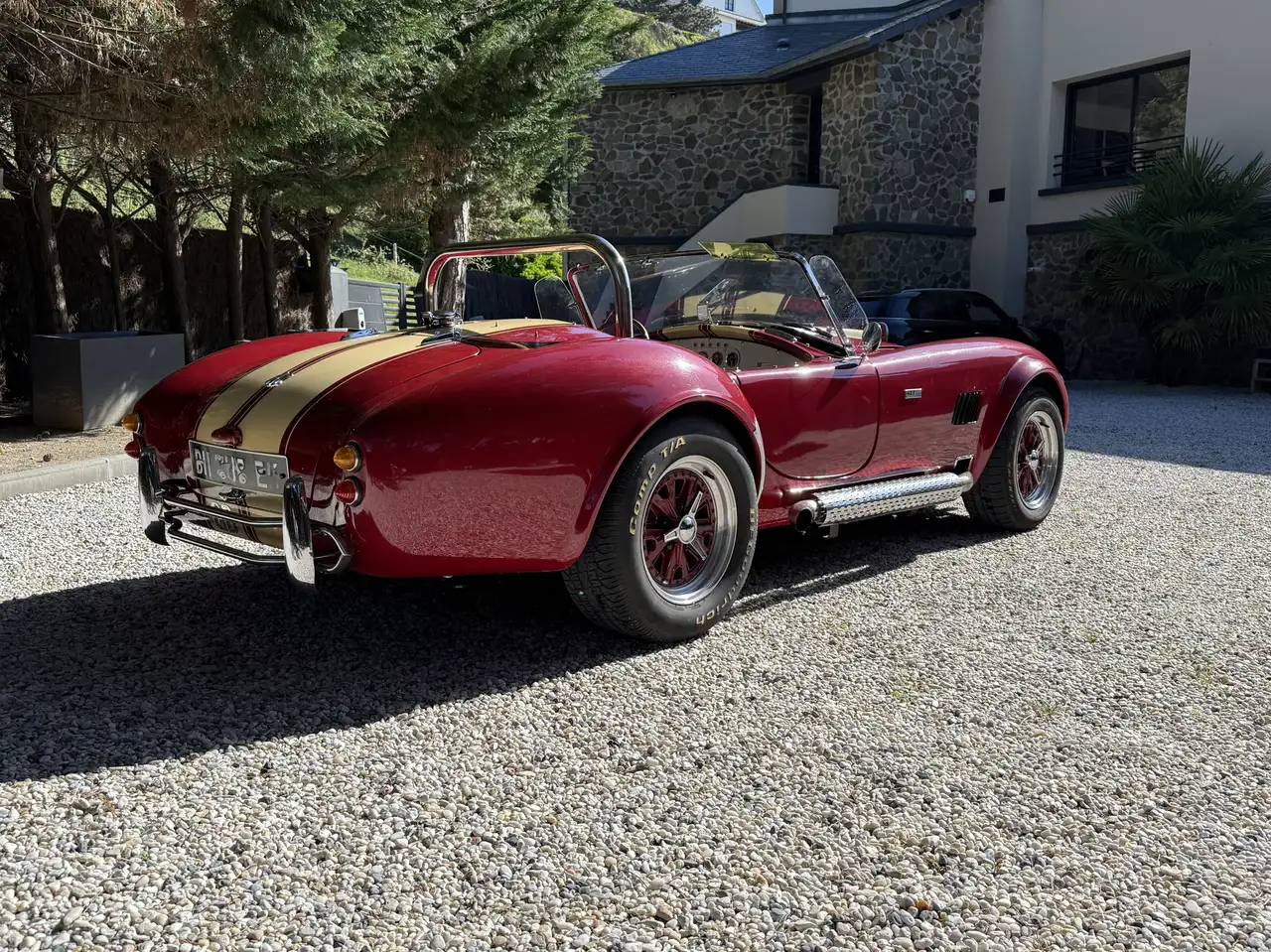 AC Cobra Pilgrim, foto 2