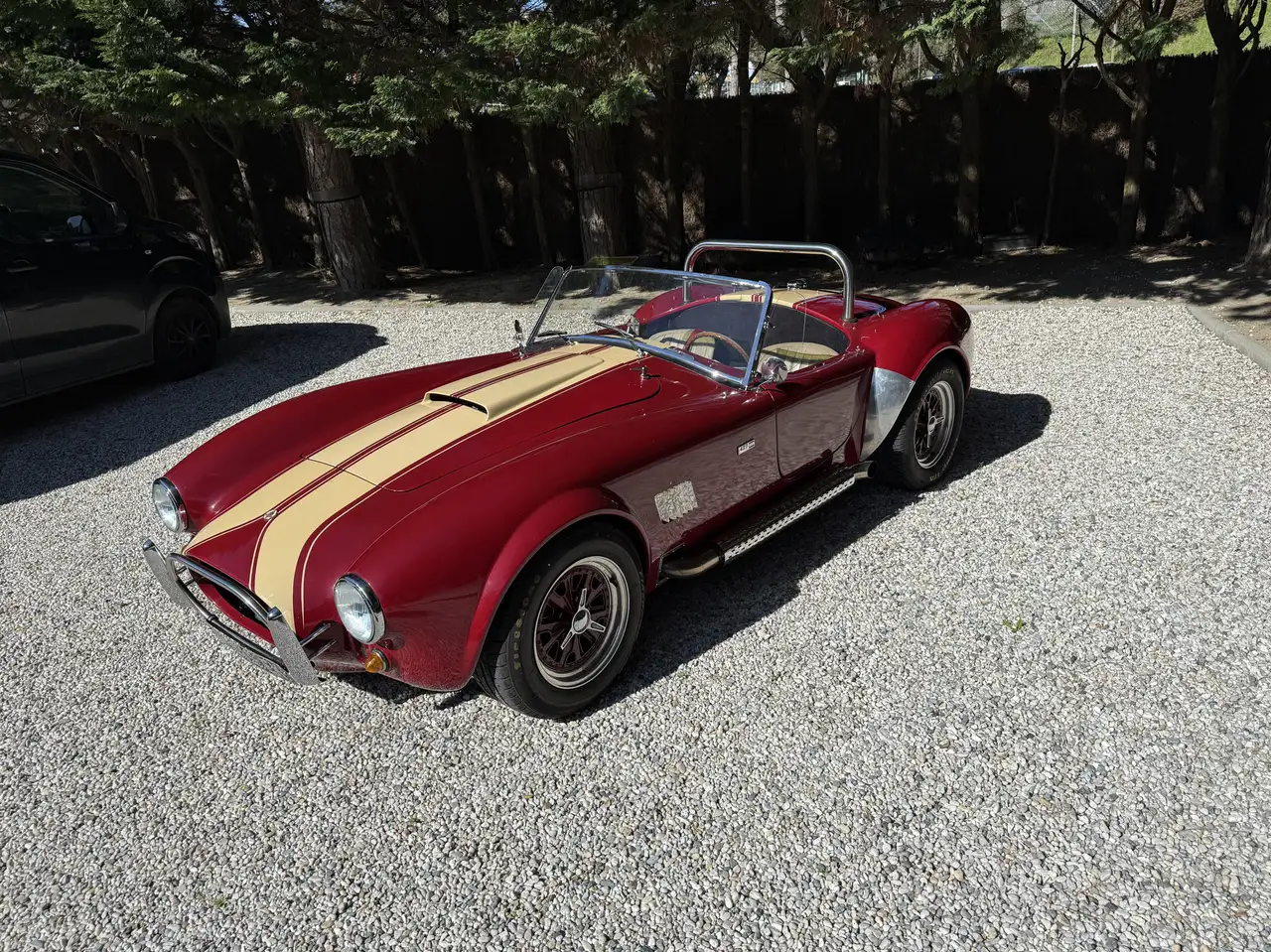 AC Cobra Pilgrim, foto 5