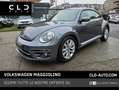 Volkswagen Maggiolino 2.0 TDI Design BlueMotion Technology Сірий - thumbnail 1