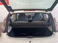Citroen C1 C1 I 2005 3p 1.0 Ideal (c1ty) FL OK NEOPATENTATI Bianco - thumbnail 6