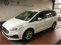 Ford Galaxy 1.5 EcoBoost *Titanium-7-Sitzer*Navi+PDC+RFK+Stzhz Weiß - thumbnail 1