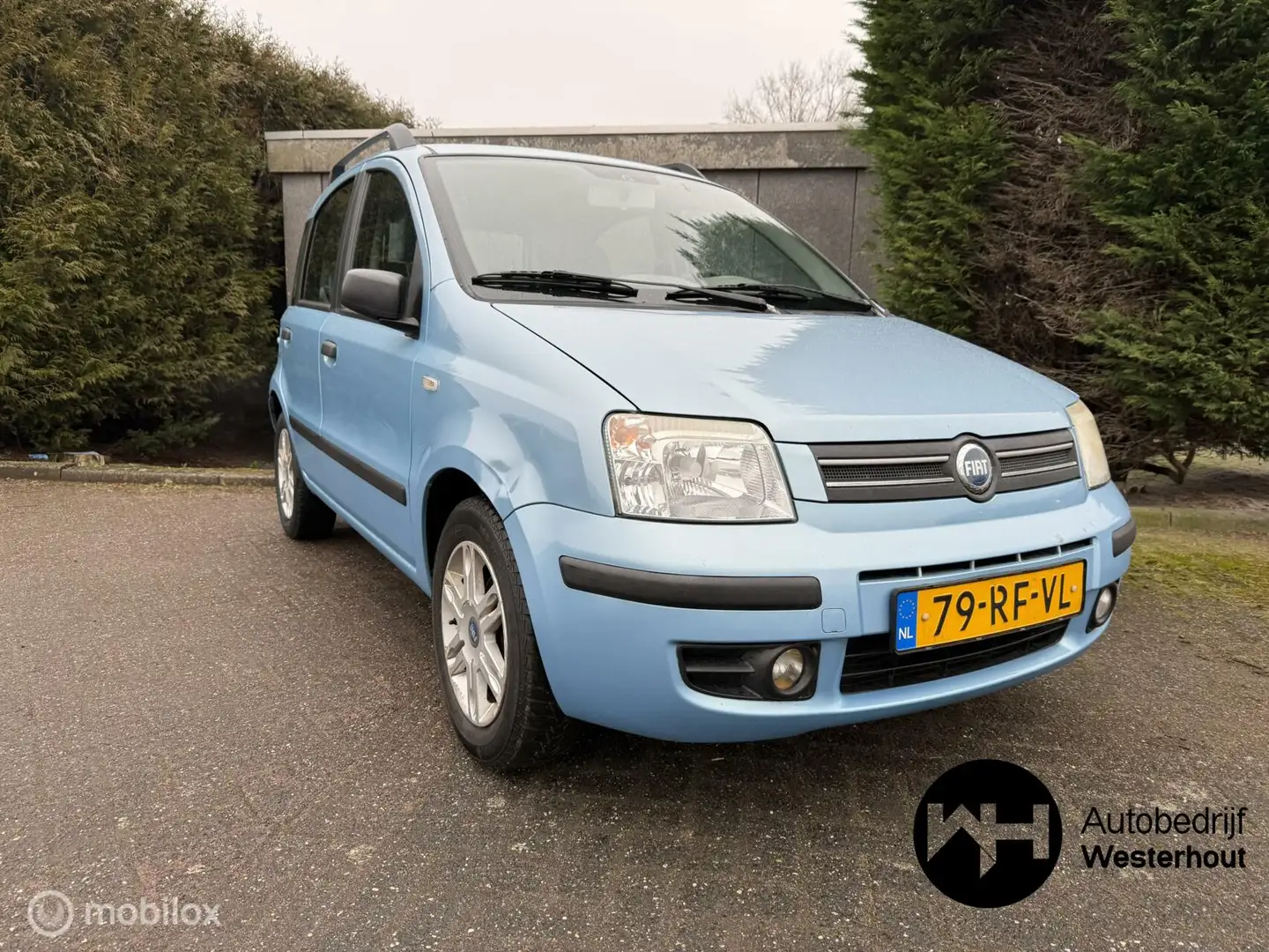 Fiat Panda 1.2 Emotion Airco Nieuwe APK Blauw - 1