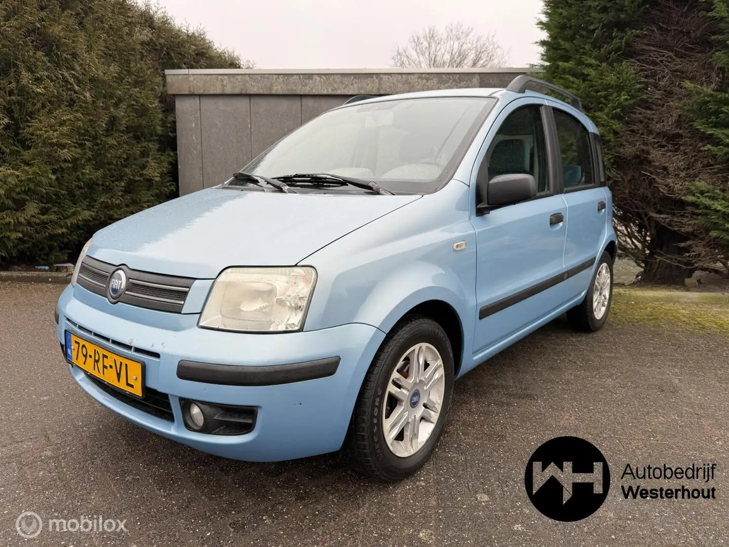Fiat Panda 1.2 Emotion Airco Nieuwe APK Blau - 2