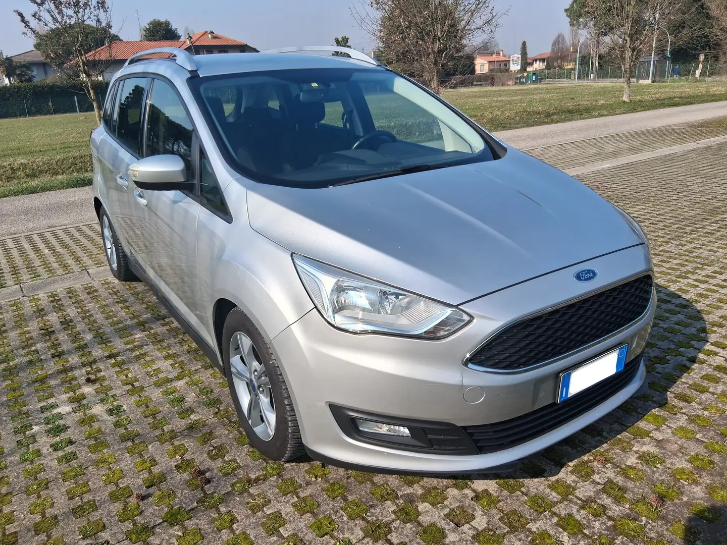 Ford C-Max C-Max7 2.0 tdci Business s Argento - 1