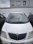 Lancia Phedra 2.2 16v JTD DPF - thumbnail 1