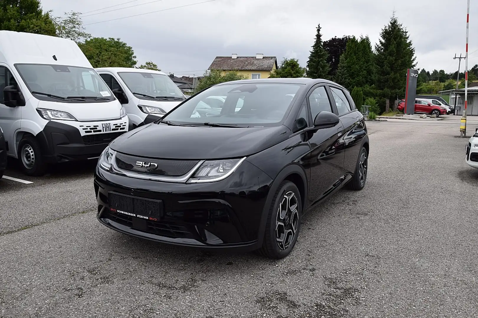 BYD Dolphin 60,4 kWh Comfort*Vorführwagen* Schwarz - 1