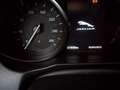 Jaguar XF 2.0d 180 CV Prestige Automatico - Info: 3405107894 Blu/Azzurro - thumbnail 15