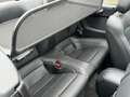 Ford Mustang 2.3i 290CV CABRIOLET  ECOBOOST FULL OPTIONS Grey - thumbnail 14