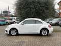 Volkswagen Maggiolino 2.0 TDI Design 110cv Bianco - thumbnail 7