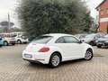 Volkswagen Maggiolino 2.0 TDI Design 110cv Bianco - thumbnail 6