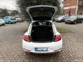 Volkswagen Maggiolino 2.0 TDI Design 110cv Bianco - thumbnail 9