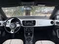 Volkswagen Maggiolino 2.0 TDI Design 110cv Bianco - thumbnail 10