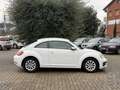 Volkswagen Maggiolino 2.0 TDI Design 110cv Bianco - thumbnail 8