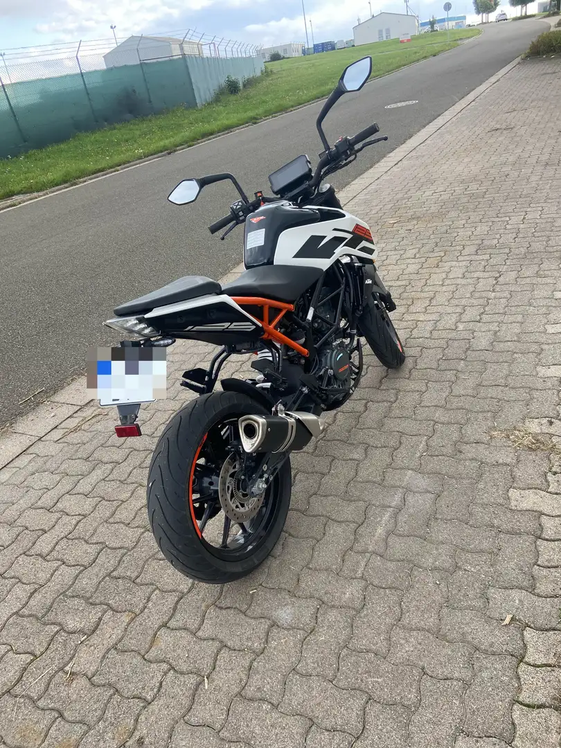 KTM 125 Duke Nakedbike Alb - 2