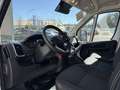 Toyota Proace Max 2.2-l-D 35 L3H2 Comfort Alb - thumbnail 6