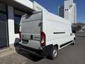 Toyota Proace Max 2.2-l-D 35 L3H2 Comfort Alb - thumbnail 4