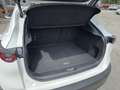 Mazda CX-30 X186 GT+/SO/PR/TE Aut. Weiß - thumbnail 6