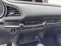 Mazda CX-30 X186 GT+/SO/PR/TE Aut. Weiß - thumbnail 12