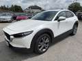 Mazda CX-30 X186 GT+/SO/PR/TE Aut. Weiß - thumbnail 2