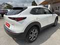 Mazda CX-30 X186 GT+/SO/PR/TE Aut. Weiß - thumbnail 4