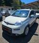 Fiat Panda Panda 1.0 firefly hybrid Sport s Bianco - thumbnail 5