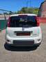 Fiat Panda Panda 1.0 firefly hybrid Sport s Bianco - thumbnail 7