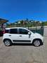 Fiat Panda Panda 1.0 firefly hybrid Sport s Bianco - thumbnail 4