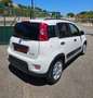 Fiat Panda Panda 1.0 firefly hybrid Sport s Bianco - thumbnail 9