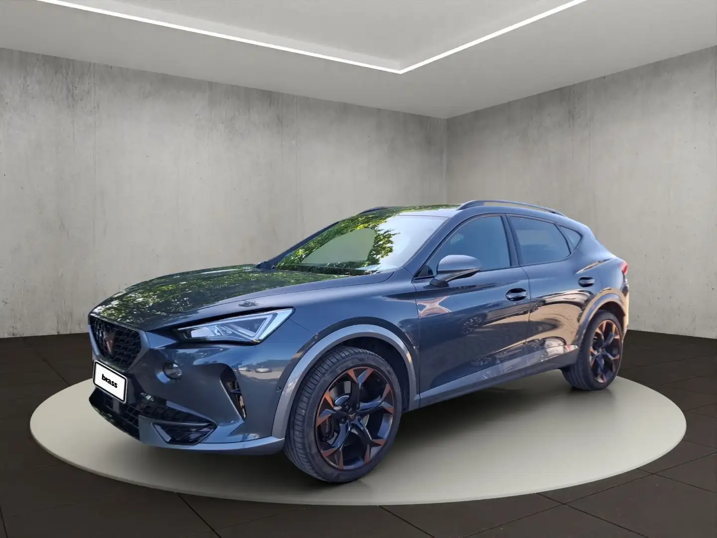CUPRA Formentor VZ 2.0 TSI 4Drive OPF Grau - 1