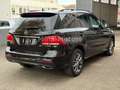 Mercedes-Benz GLE 400 AMG-Line 4Matic Schwarz - thumbnail 4