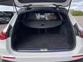 Mercedes-Benz E 220 E 220 d T AMG+Night+20"+Pano+AHK+Keyless+Head.up Weiß - thumbnail 14