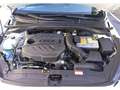 Kia Ceed / cee'd 1.6 CRDi 100kW (136CV) DCT Business - thumbnail 20