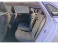 Kia Ceed / cee'd 1.6 CRDi 100kW (136CV) DCT Business - thumbnail 16