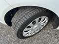 Ford Fiesta Fiesta 1.4 5 porte Bz.- GPL Business*NEOPATENTATI Blanc - thumbnail 14